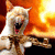 /album/mcs/violentos021-gif/